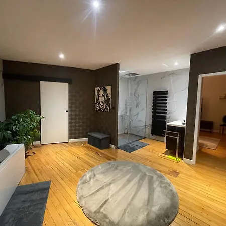 Apartment Bourgeois Et Moderne Au Coeur D'epinal, Ideal Pour Decouvrir La